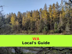 How to Plan Bushwalking in Northern Rivers | Step-by-Step