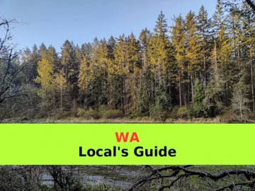 How to Plan Bushwalking in Northern Rivers | Step-by-Step