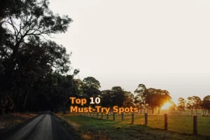 Complete Trail Running Gippsland Gear Breakdown Under $200! 🏃‍♂️💰