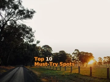 Complete Trail Running Gippsland Gear Breakdown Under $200! 🏃‍♂️💰