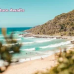 view photography of seashore during daytime