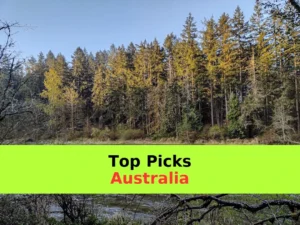Northern Rivers: What to Book and What to Skip! 🏄‍♂️