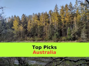 Northern Rivers: What to Book and What to Skip! 🏄‍♂️