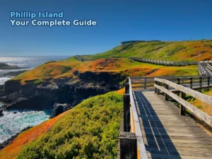 Just Got Back From 5 Days on Phillip Island – What a Ripper! 🐧