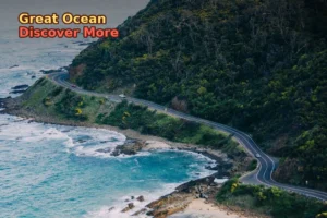 Great Ocean Road Access Changes 2025 – What You Need to Know! 🚧