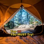 orange camping tent near green trees