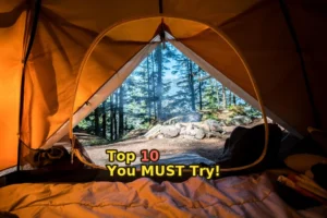 Don’t forget these camping essentials for 2025! 🏕️