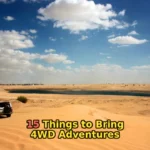 gray SUV on sand dunes during daytime