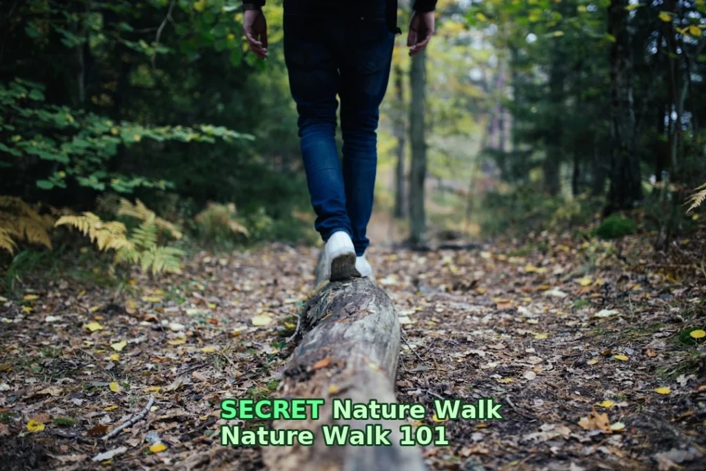 man walking on forest