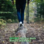 man walking on forest