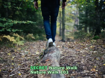 Nature Walk 101 | Everything a First-Timer Needs