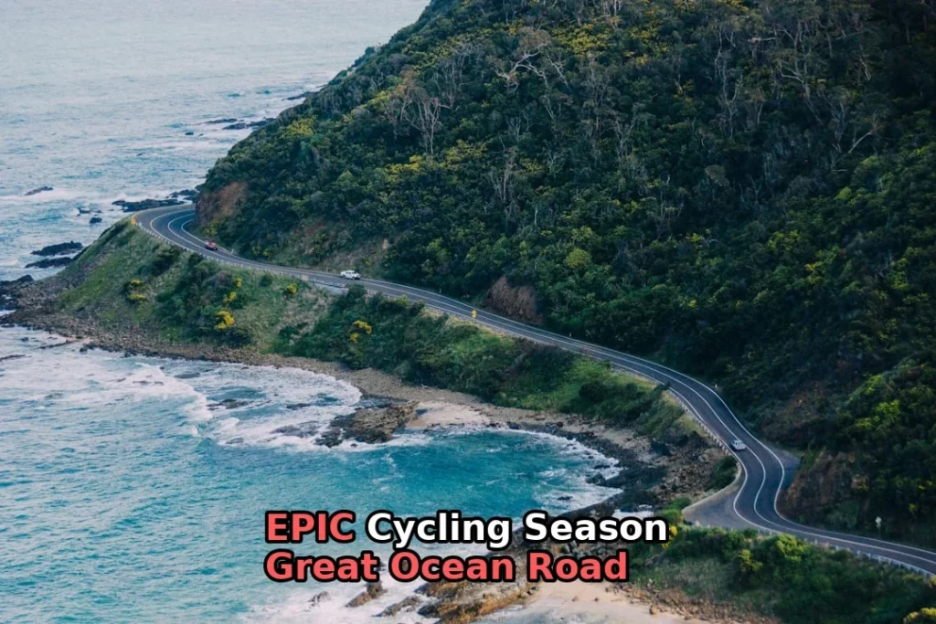 gray asphalt road beside mountain surrounded by green leafed trees during daytime