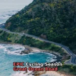 gray asphalt road beside mountain surrounded by green leafed trees during daytime
