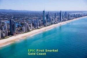Just got back from 3 days snorkeling the Gold Coast! Here’s what to expect on your first time!