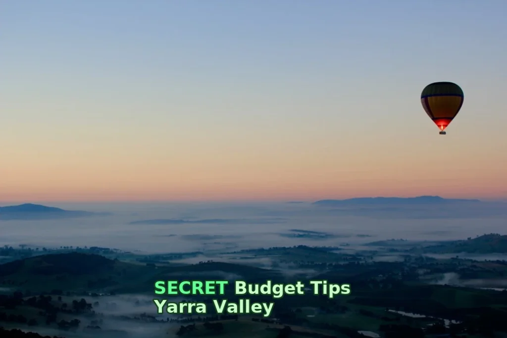 aerial photography of hot air balloon