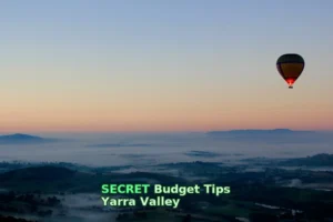 Ever wondered how to explore Yarra Valley without blowing your budget? I’ve got you covered!