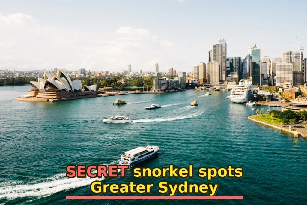 Sydney, Opera House during daytime