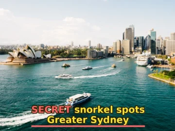 How to Plan Snorkeling in Greater Sydney | Step-by-Step