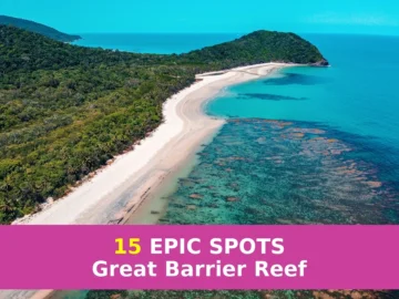 Ever wondered where the magic happens in Australia’s underwater wonderland?