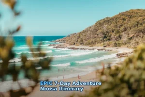 view photography of seashore during daytime