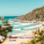 view photography of seashore during daytime