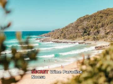 Noosa Wine Tasting – Been there, done that, here’s my honest take!