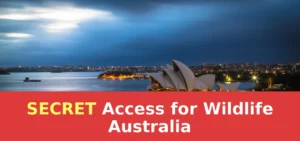 Access for Wildlife Watching in Australia | Complete Guide