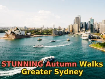 Outdoor Autumn Guide for Greater Sydney