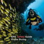 two people scuba diving underwater