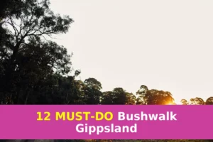 From Budget to Premium – Find Your Gippsland Bushwalking Tier This Summer!