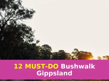 From Budget to Premium – Find Your Gippsland Bushwalking Tier This Summer!