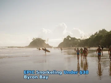 people walking along beach during daytime