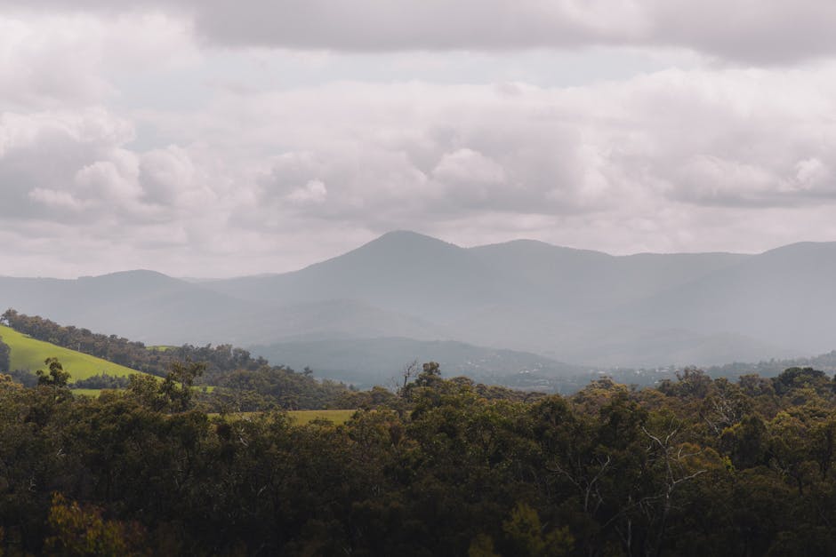 Best Time for Bushwalking in Western Victoria | Monthly Breakdown
