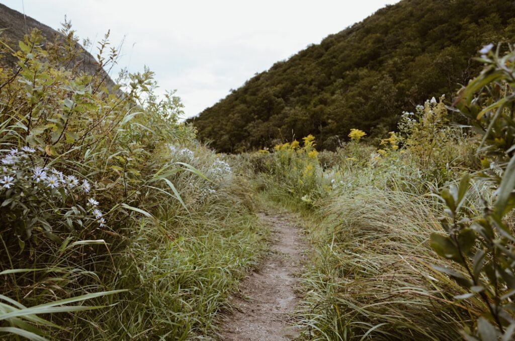 Top 7 Bushwalking Boots in Blue Mountains – Tested & Ranked! 🥾