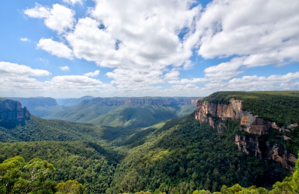 🚨 Breaking: Epic New MTB Facilities at Blue Mountains! 🚵‍♂️