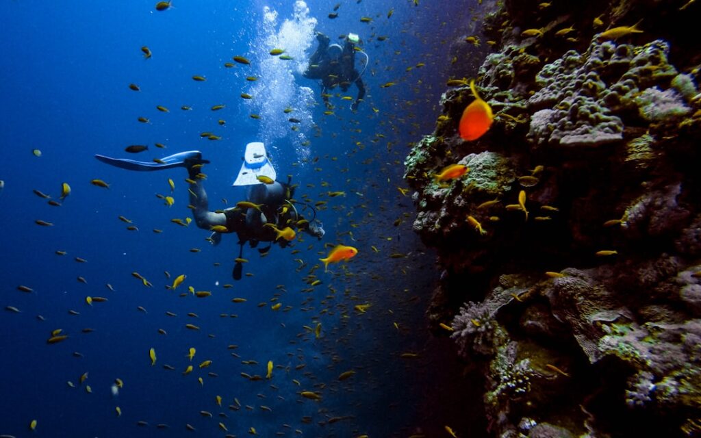 Aqua Lung vs Mares – Which Scuba Regulator Wins for Byron Bay?