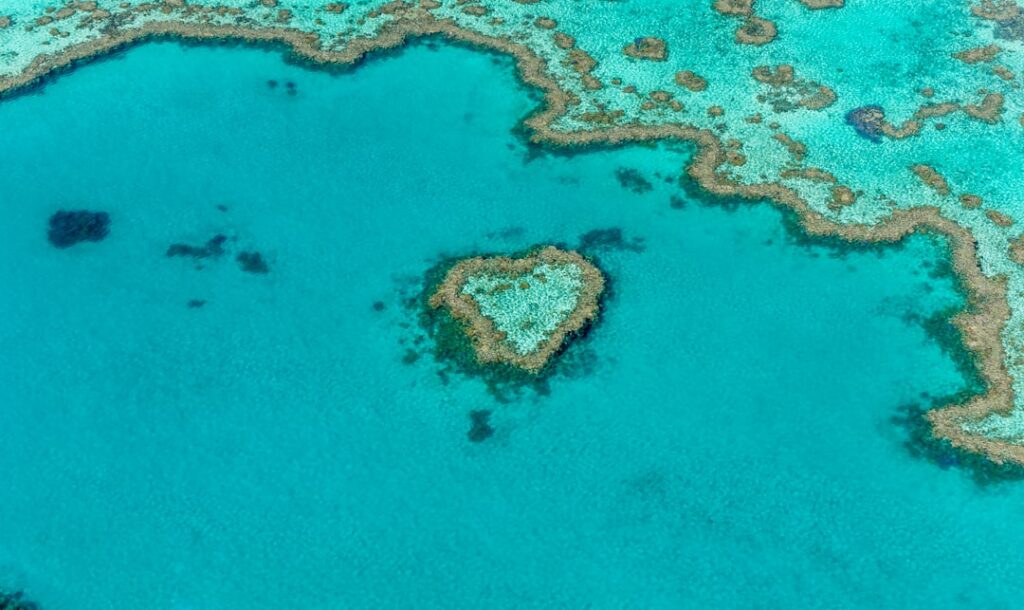 Here’s Exactly What to Buy for Whitsunday Adventures! 🏝️