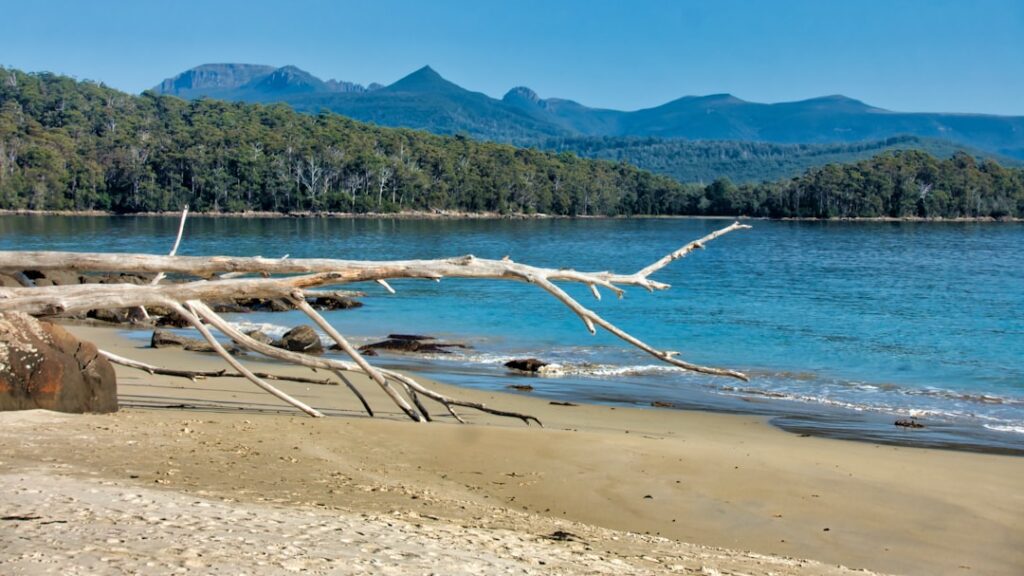 Here’s exactly what to buy for cycling in Southern Tasmania under $100!