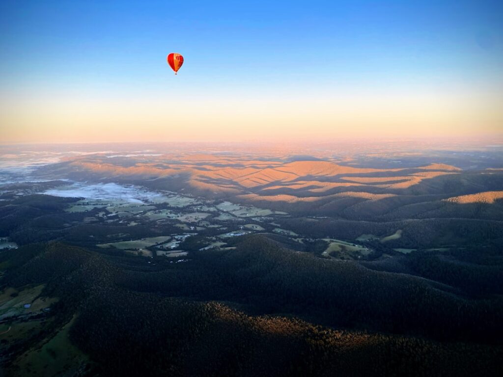 Ever wondered how to explore Yarra Valley without blowing your budget? I’ve got you covered!
