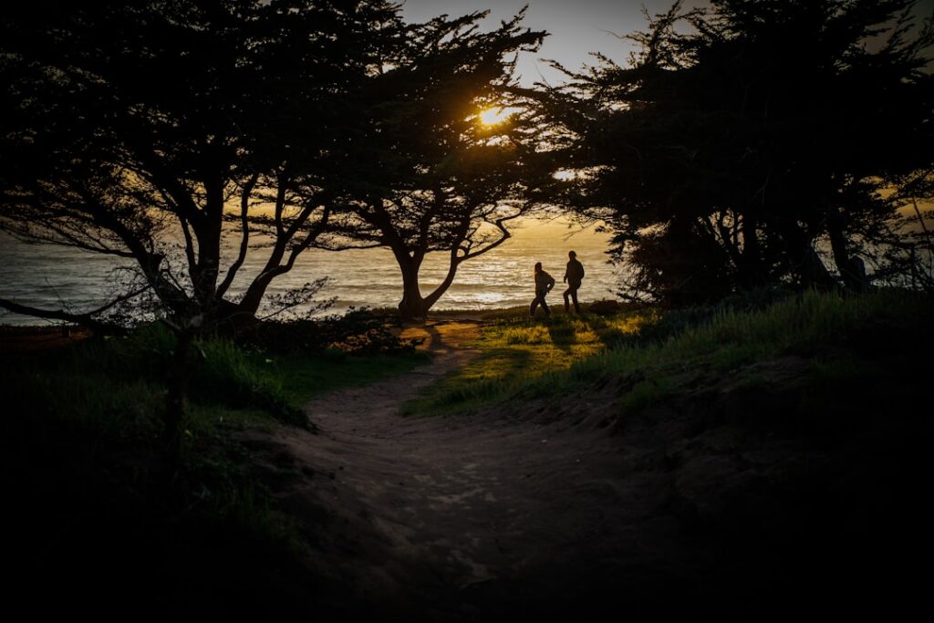 Here’s exactly what to buy for FREE 4WD Adventures on the Central Coast!