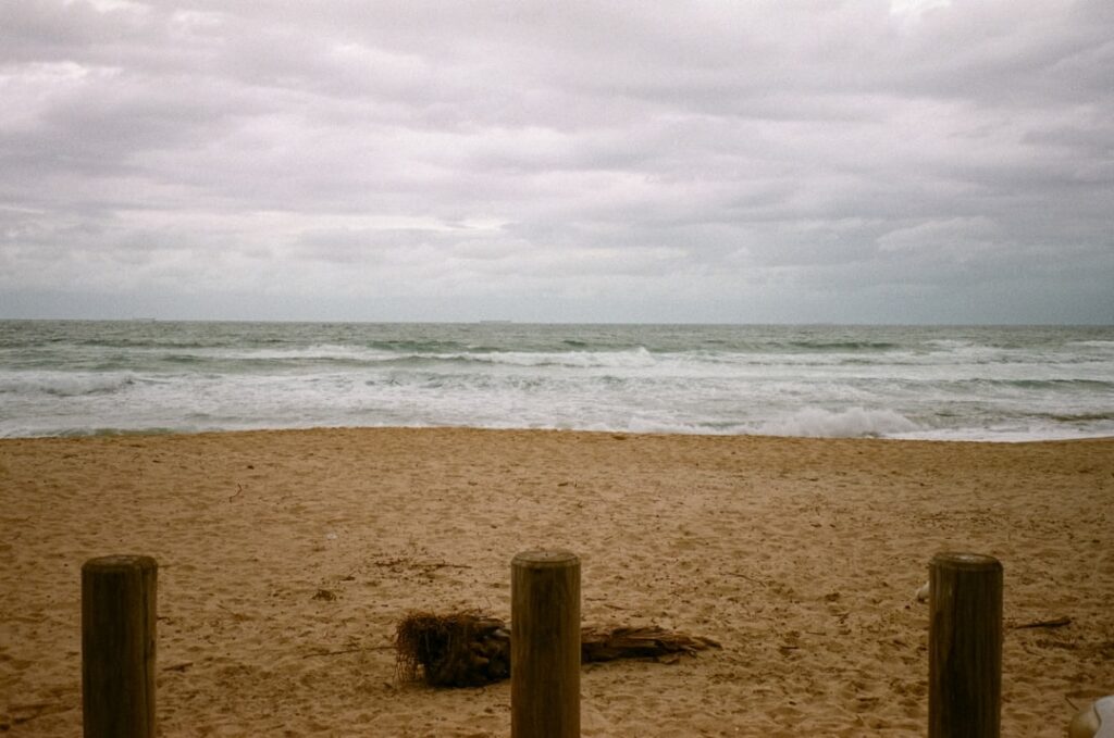🎉 South Coast NSW Festival 2024 – Dates, Tickets & Insider Tips!