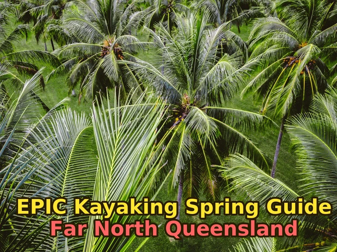 Kayaking Spring Guide for Far North Queensland