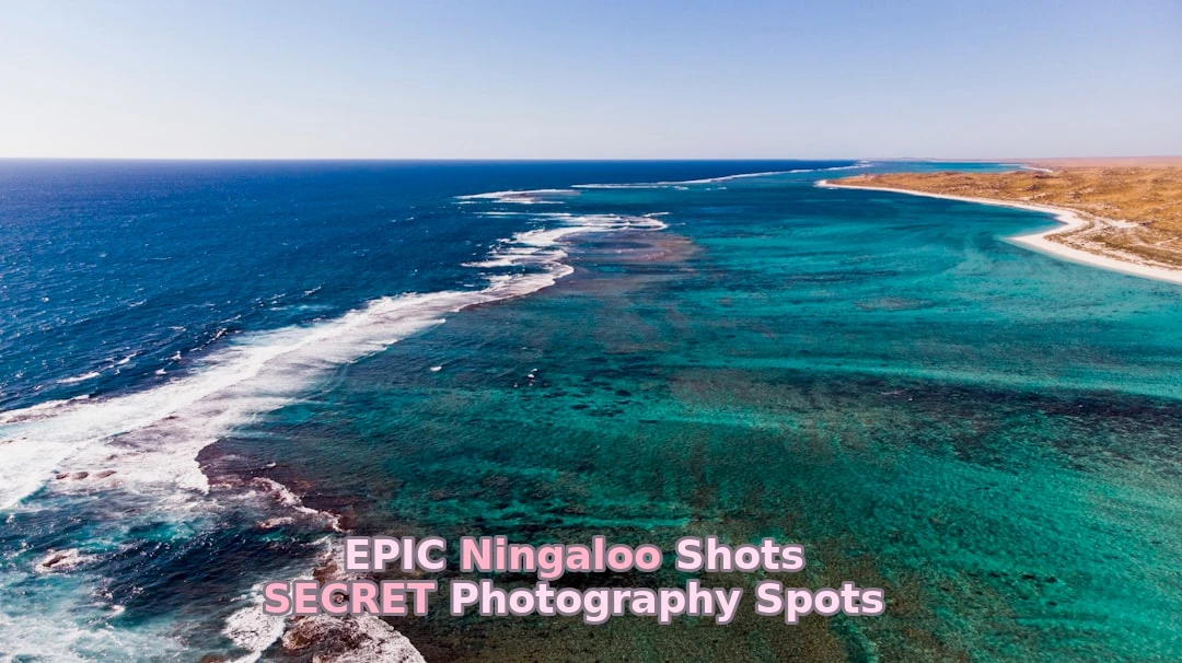 Did you know that Ningaloo has over 300 days of perfect photography light each year? We tried photography there – here’s our honest take!