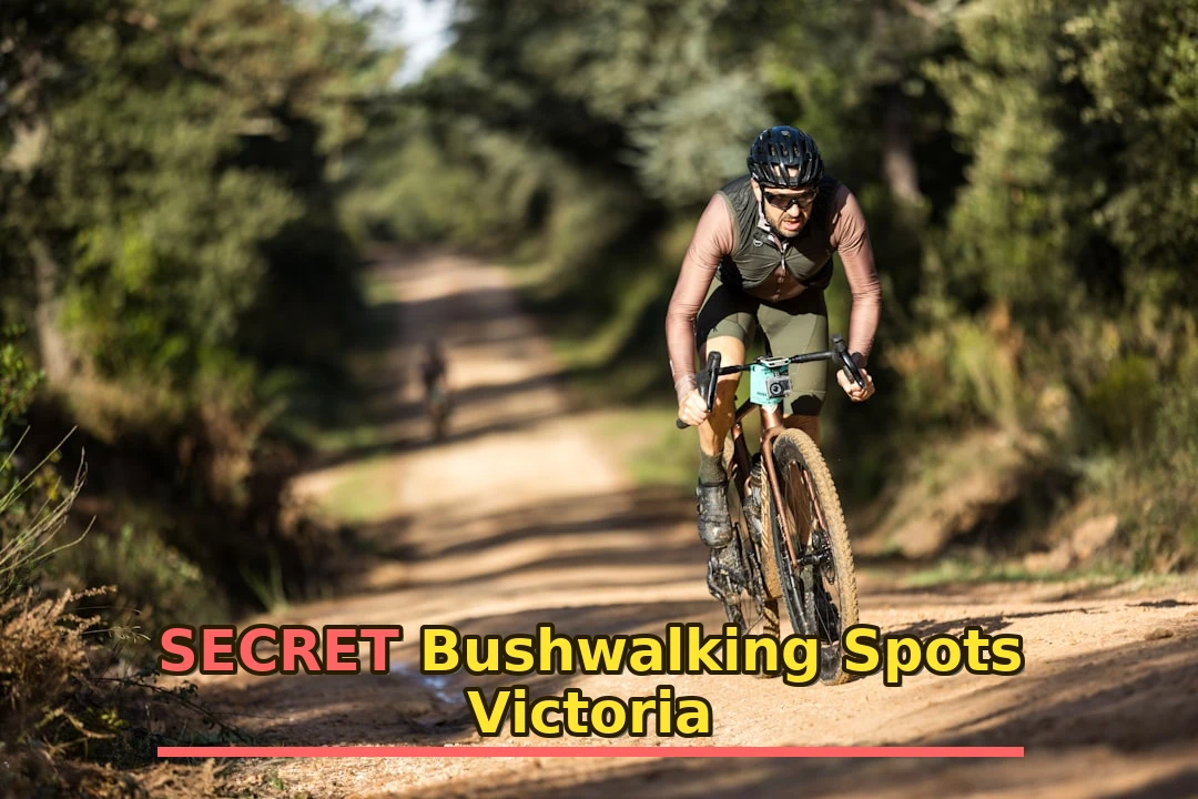 Bushwalking in VIC: Destinations, Tips & Planning