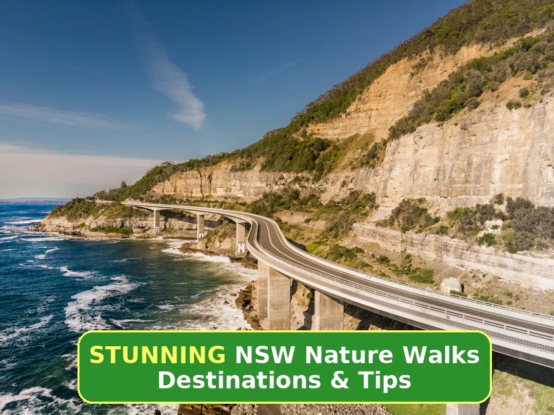 Nature Walk in NSW: Destinations, Tips & Planning
