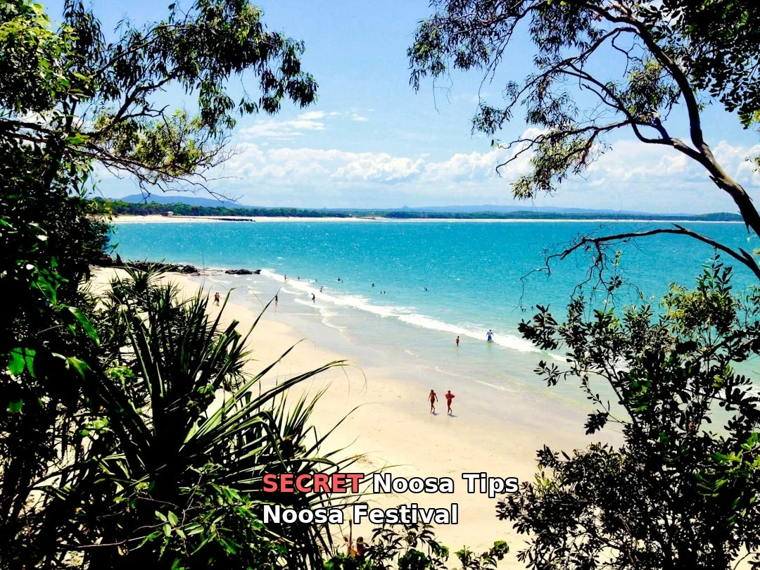 Ever wondered what makes Noosa Festival the must-attend event of the year?