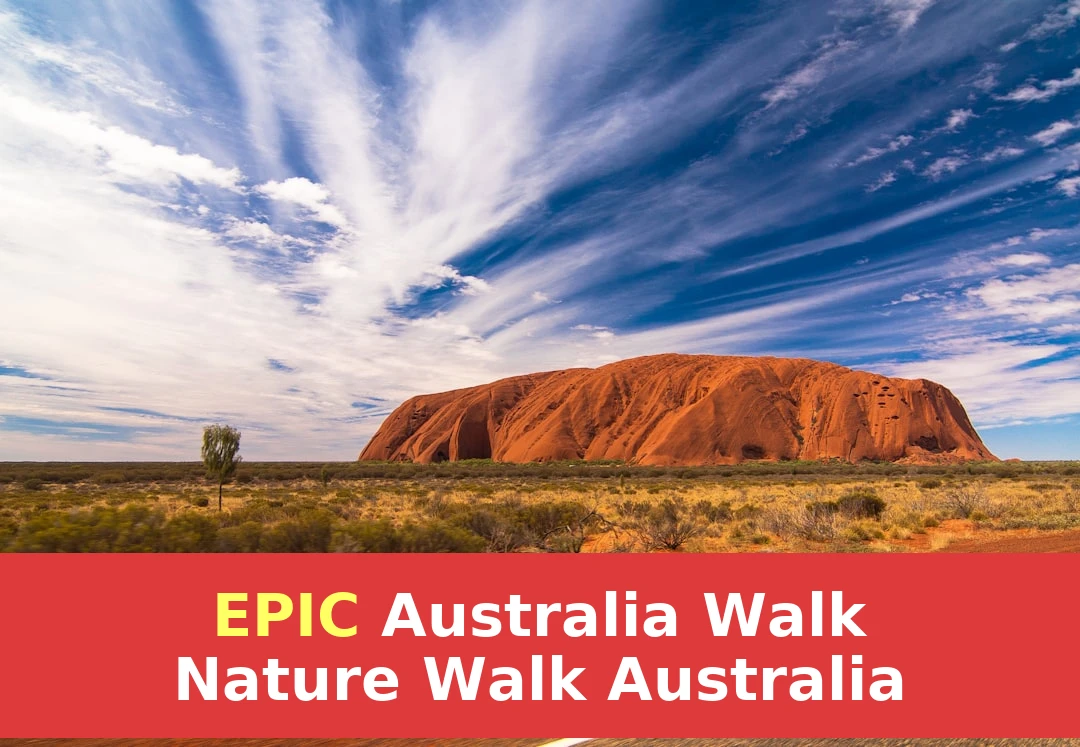Nature Walk Australia: The Definitive Resource