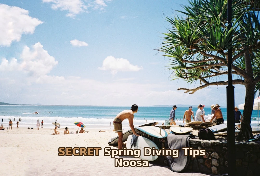 Spring is THE time for scuba diving in Australia!