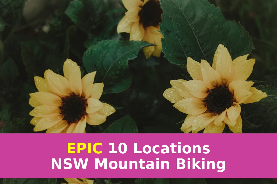 NSW Mountain Biking Guide: 10 Best Locations