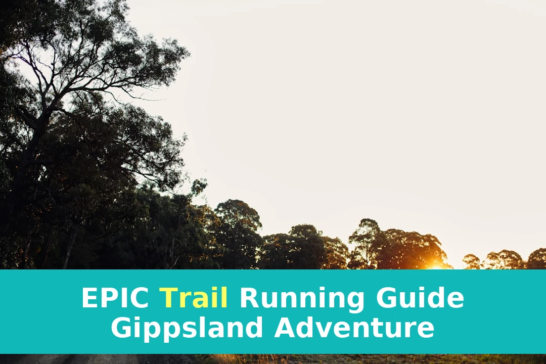 How to Plan Trail Running in Gippsland | Step-by-Step
